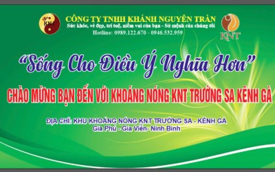 Đông ý Gia Truyền - Khánh Nguyễn Trần