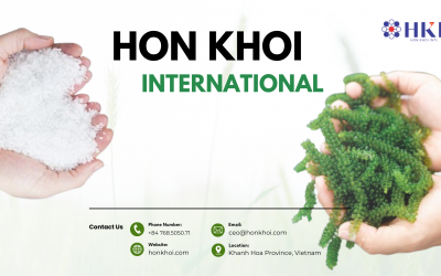 Quốc Tế Hòn Khói